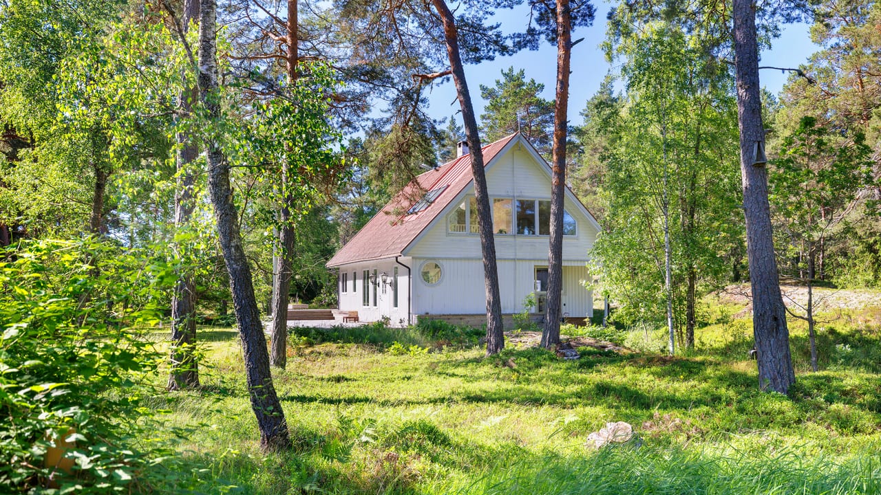 Vitt trähus med rött tak sett genom björkskog i sommarlöv.